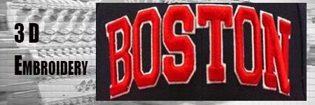 3D Embroidery Digitizing